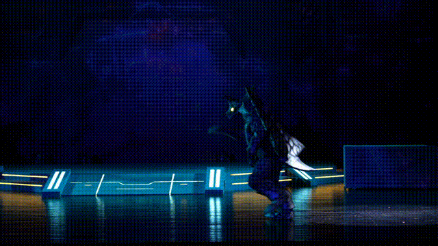 14.gif